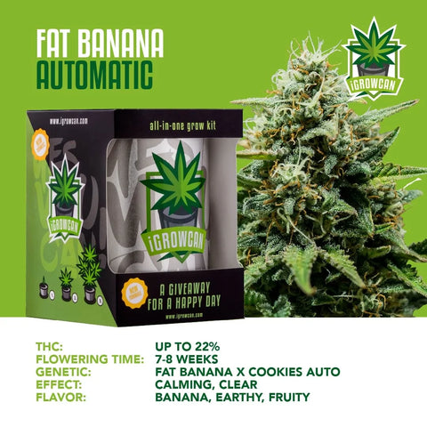 iGrowCan Cannabis Grow Kit Automatic