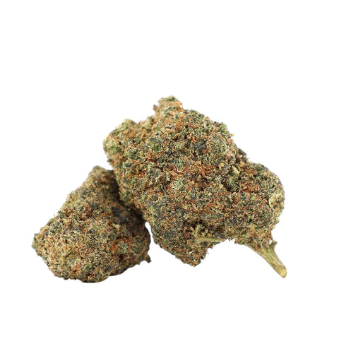 GDH CBG9 Blüten 40% Area 51