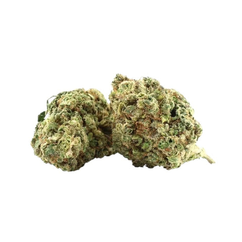 GDH CBG9 Blüten 40% Sour Cream