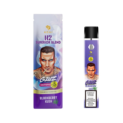 GZUZ H2 Einweg Vape