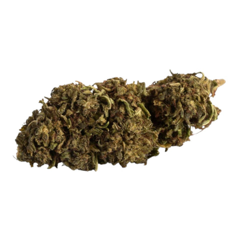 GDH 10 OH HHC Blüten Cookie Gelato 40%