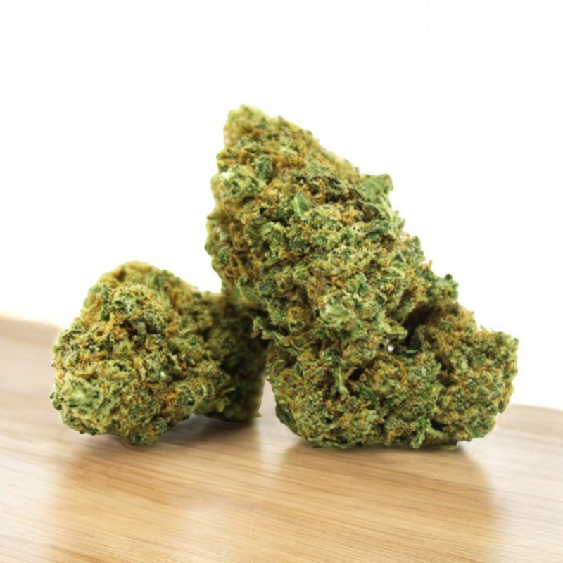 CBD Blüten Chocolope - Image 2