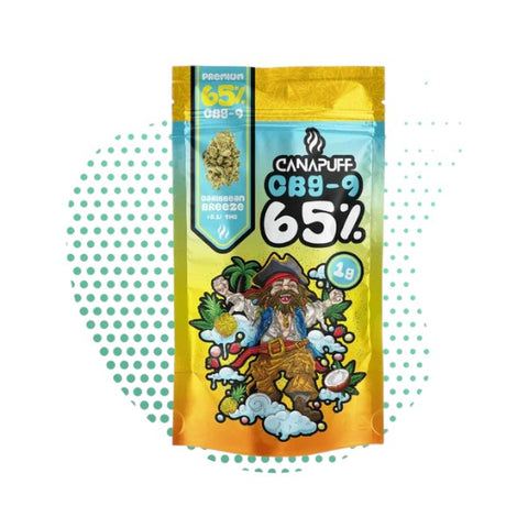 CanaPuff CBG9 Blüten 65%