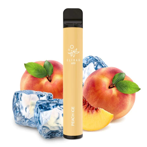 Elfbar 600 Einweg Vape