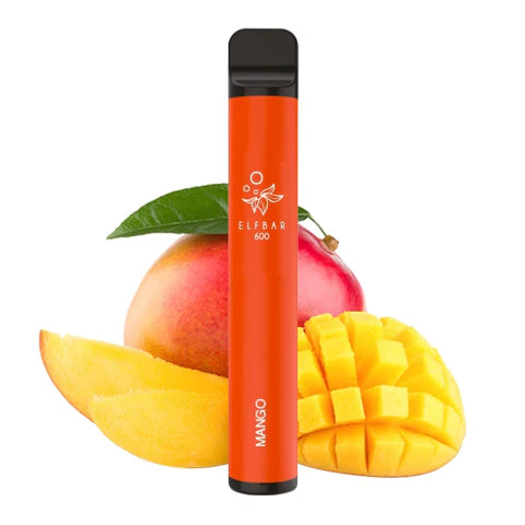 Elfbar 600 Einweg Vape