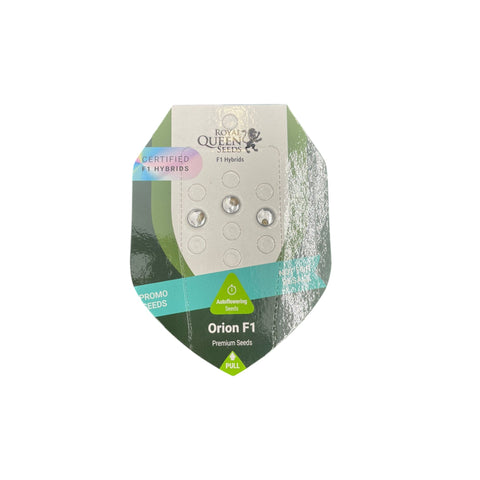 Royal Queen Seeds Orion F1