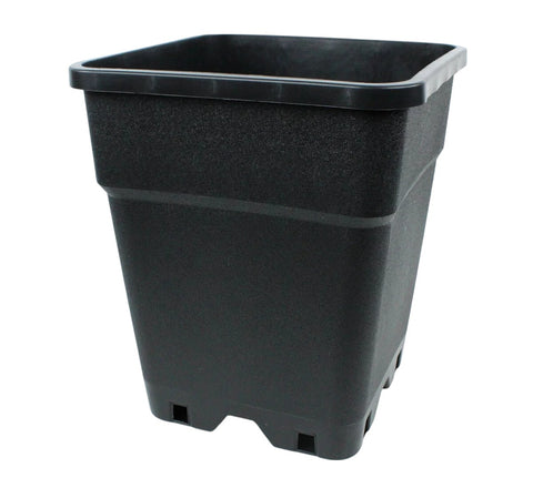 Potking Quadtratisch