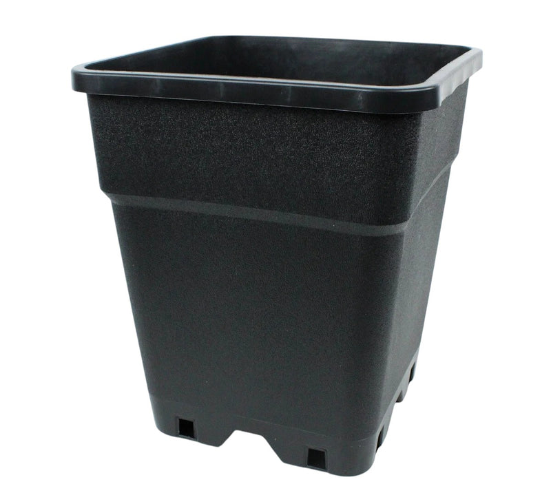 Potking Quadtratisch