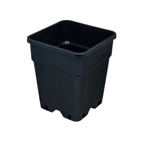 Potking Quadtratisch