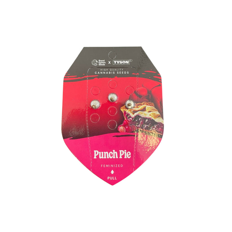 Royal Queen Seeds X Tyson Punch Pie - Image 2