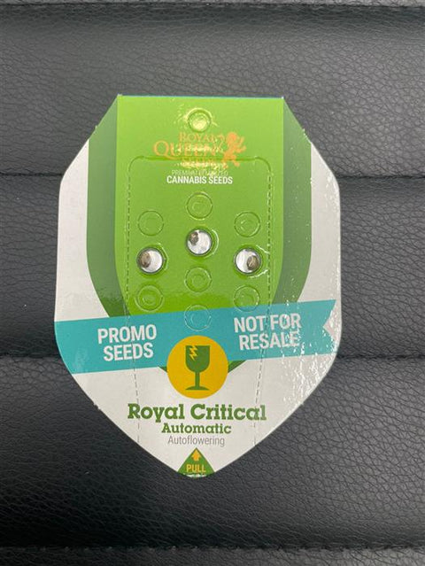Royal Queen Seeds Royal Critical Automatic