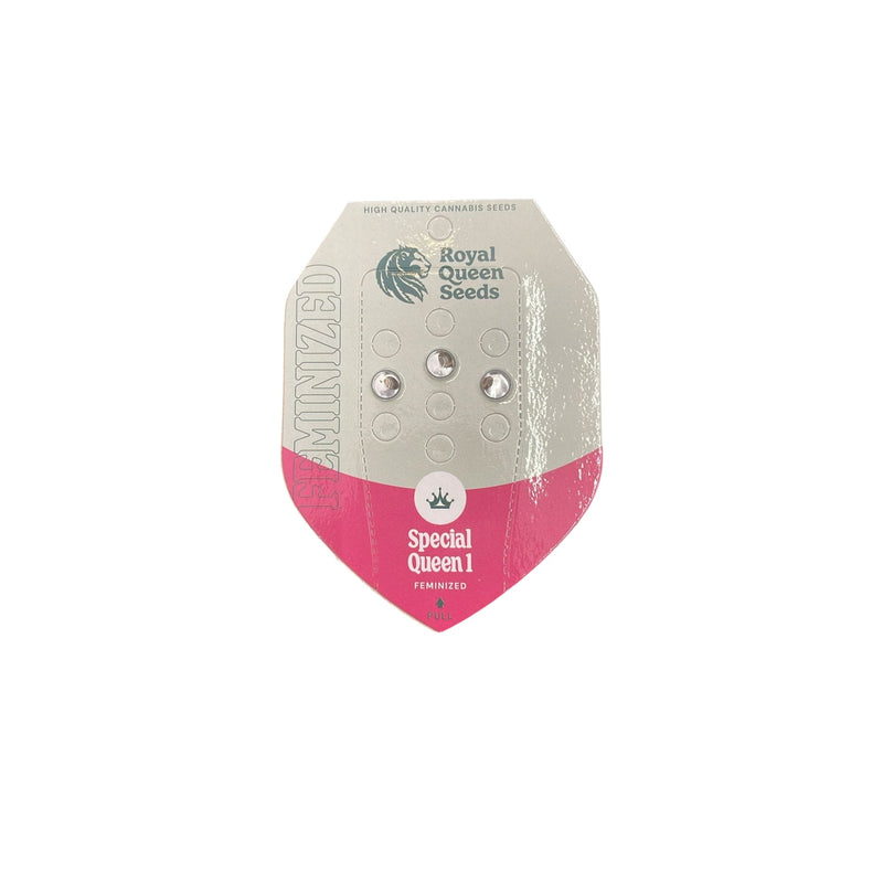 Royal Queen Seeds Special Queen 1 - Image 2