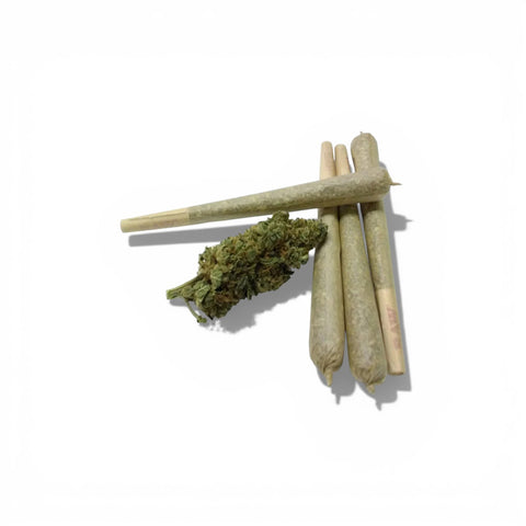 GDH Pre-Rolled CBD