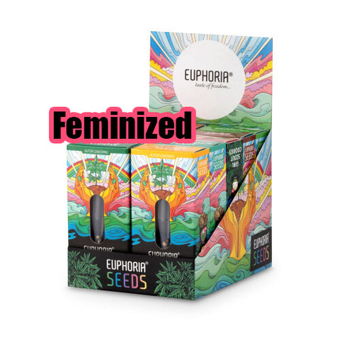 Euphoria Feminized Cannabis Samen 3 Stk.