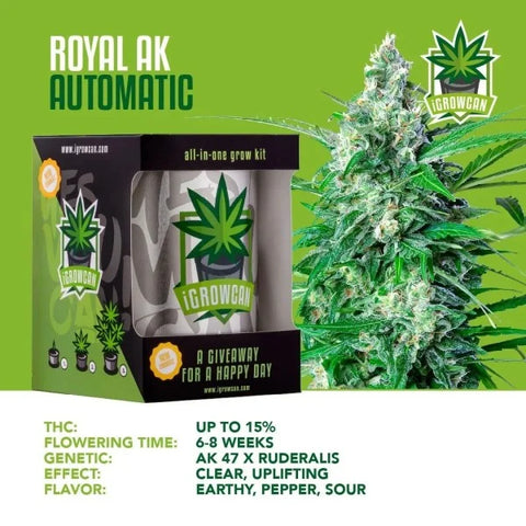 iGrowCan Cannabis Grow Kit Automatic